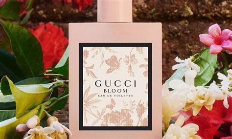 gucci bloom como huele